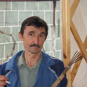 Владимир, 69 лет, Ковров