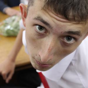 Дмитрий Андреев, 28 лет, Белгород