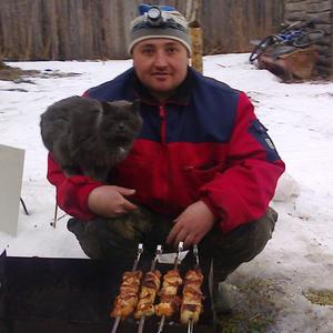 Николай Носенко, 43 года, Рязань