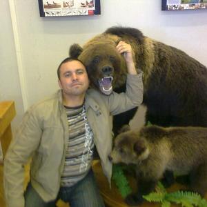 Владимир, 41 год, Омутнинск
