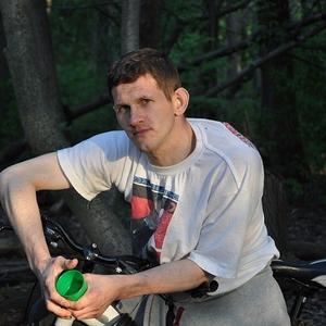 Виталий Мартыненко, 43 года, Новомосковск