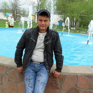 Vladimir, 43 года, Ростов-на-Дону