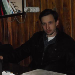 Viktor, 39 лет, Нижний Новгород