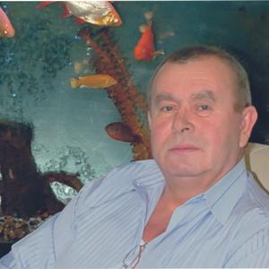 Никола, 72 года, Волжский