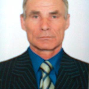 Виктор, 69 лет, Красноярск