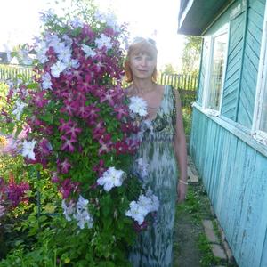 Светлана, 59 лет, Гниловец