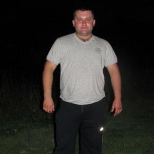 Алексей, 36 лет, Рязань