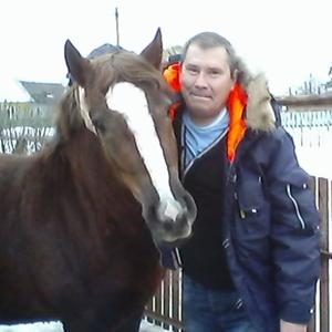 Андрей, 54 года, Вологда
