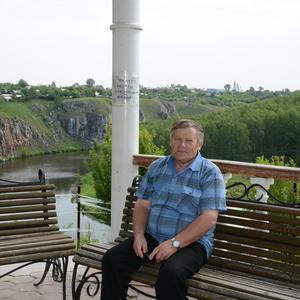 Виктор Швецов, 75 лет, Самара
