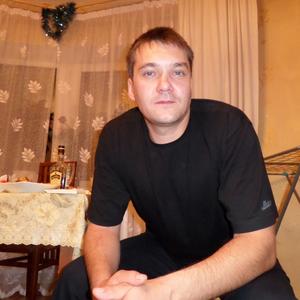 Александор, 45 лет, Междуреченск