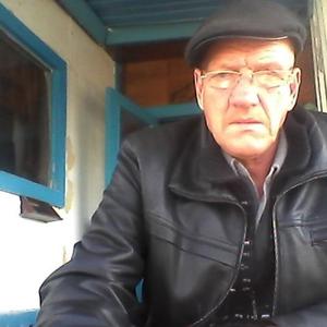 Станисловас Виршилас, 65 лет, Комсомольск-на-Амуре