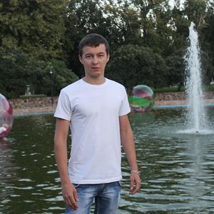 Дмитрий, 32 года, Курск
