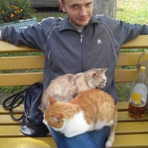 Вадим, 35 лет, Нижний Новгород