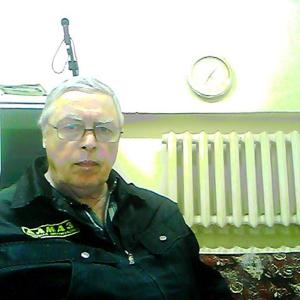 Владимир, 74 года, Архангельск