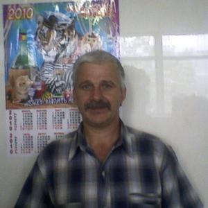 Петр Гиндич, 61 год, Сочи