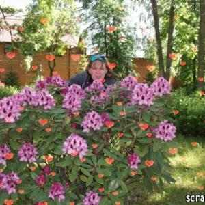 Девушки в Калининграде: Натали, 42 - ищет парня из Калининграда