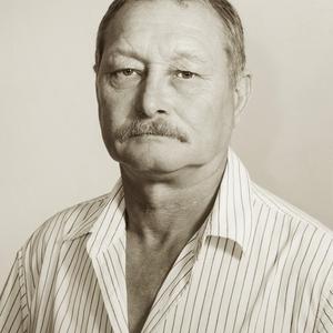Сергей, 68 лет, Мытищи