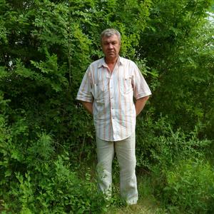 Анатолий, 66 лет, Омск