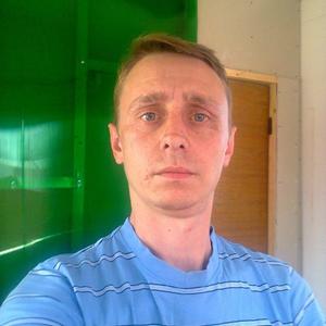 Pavel, 43 года, Брянск