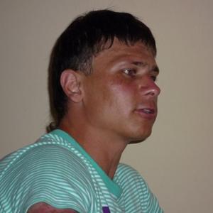 Владимир, 41 год, Архангельск