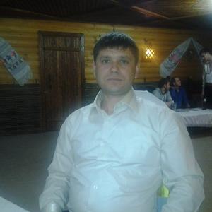 Иван, 41 год, Пушкино