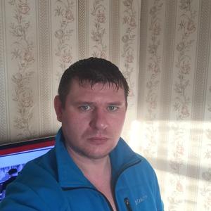 Александр Савеко, 43 года, Нижний Новгород