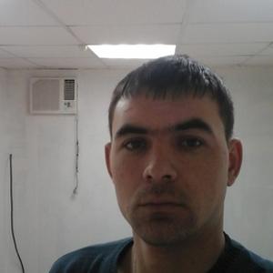 Алексей Окороков, 38 лет, Сатка