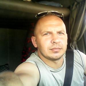 Владимир, 44 года, Выборг