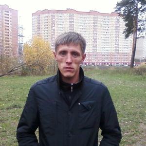 Александр Васильев, 42 года, Чебоксары