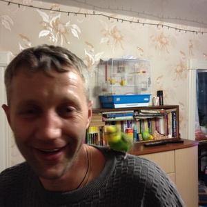 Александр, 41 год, Хабаровск