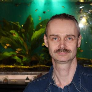 Николай, 52 года, Красногорск