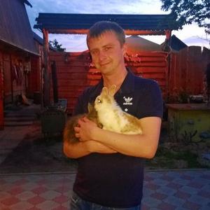 Парни в Волковыск: Виталий, 36 - ищет девушку из Волковыск
