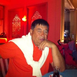 Алексей Никитюк, 63 года, Краснодар