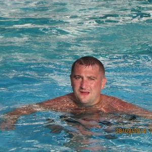 Алекс, 39 лет, Александров