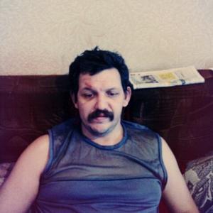 Андрей Болотин, 52 года, Набережные Челны