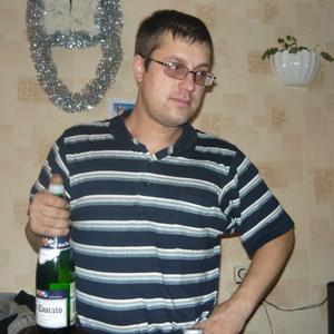 Олег Полонянкин, 44 года, Сарапул