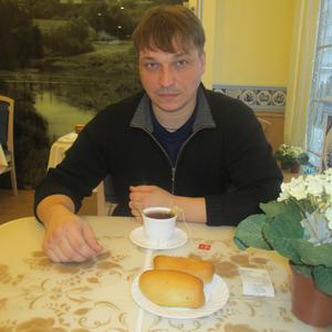 Шатров Дмитрий Викторович, 46 лет, Владимир