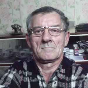 Александр Онищенко , 69 лет, Иловля