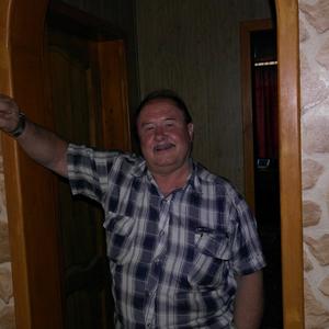 Владимир, 66 лет, Ростов-на-Дону