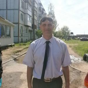 Серый, 52 года, Новосибирск