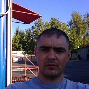 Сафар, 38 лет, Пушкино