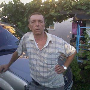 Андрей, 65 лет, Саратов
