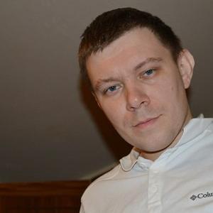 Владимир, 41 год, Кировск