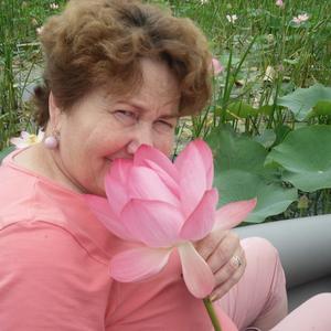 Людмила, 70 лет, Новороссийск