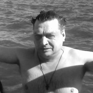 Дмитрий Платонов, 47 лет, Саратов