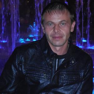 Алексей Николаенко, 44 года, Михайловск