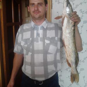 Геннадий, 45 лет, Уфа