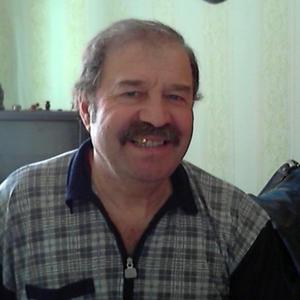 Парни в Перми: Владимир  Акрамов, 72 - ищет девушку из Перми
