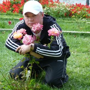 Александр, 43 года, Барнаул