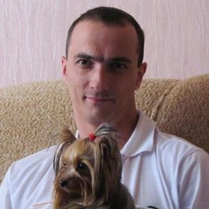 Стаснислав Румянцев, 43 года, Владимир